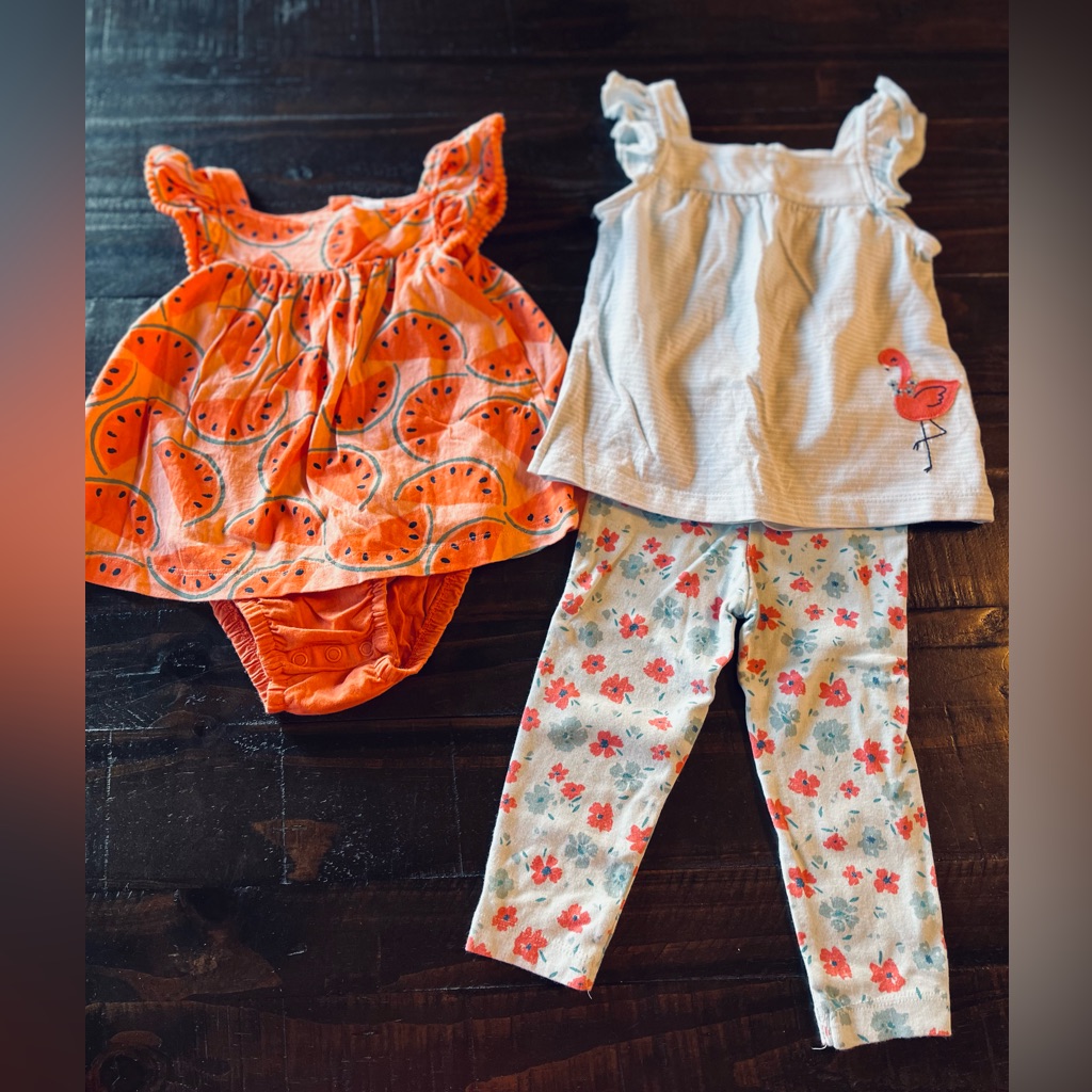 Carters 2pc Bundle